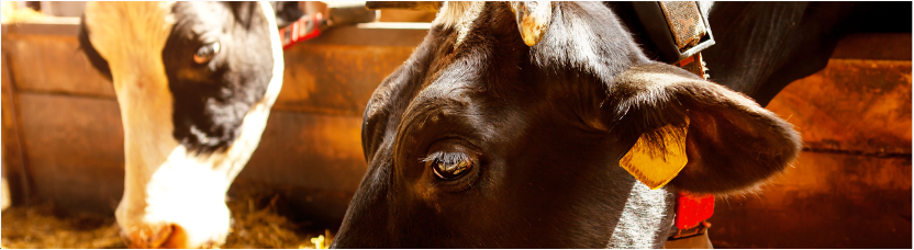 1683688351523504.png 1683688351523504.png